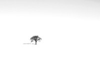 Photographie Noir et Blanc