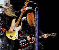 Musical Guests