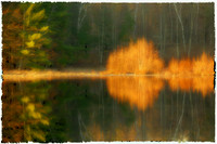 Reflections