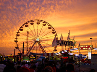 Minnesota State Fair
